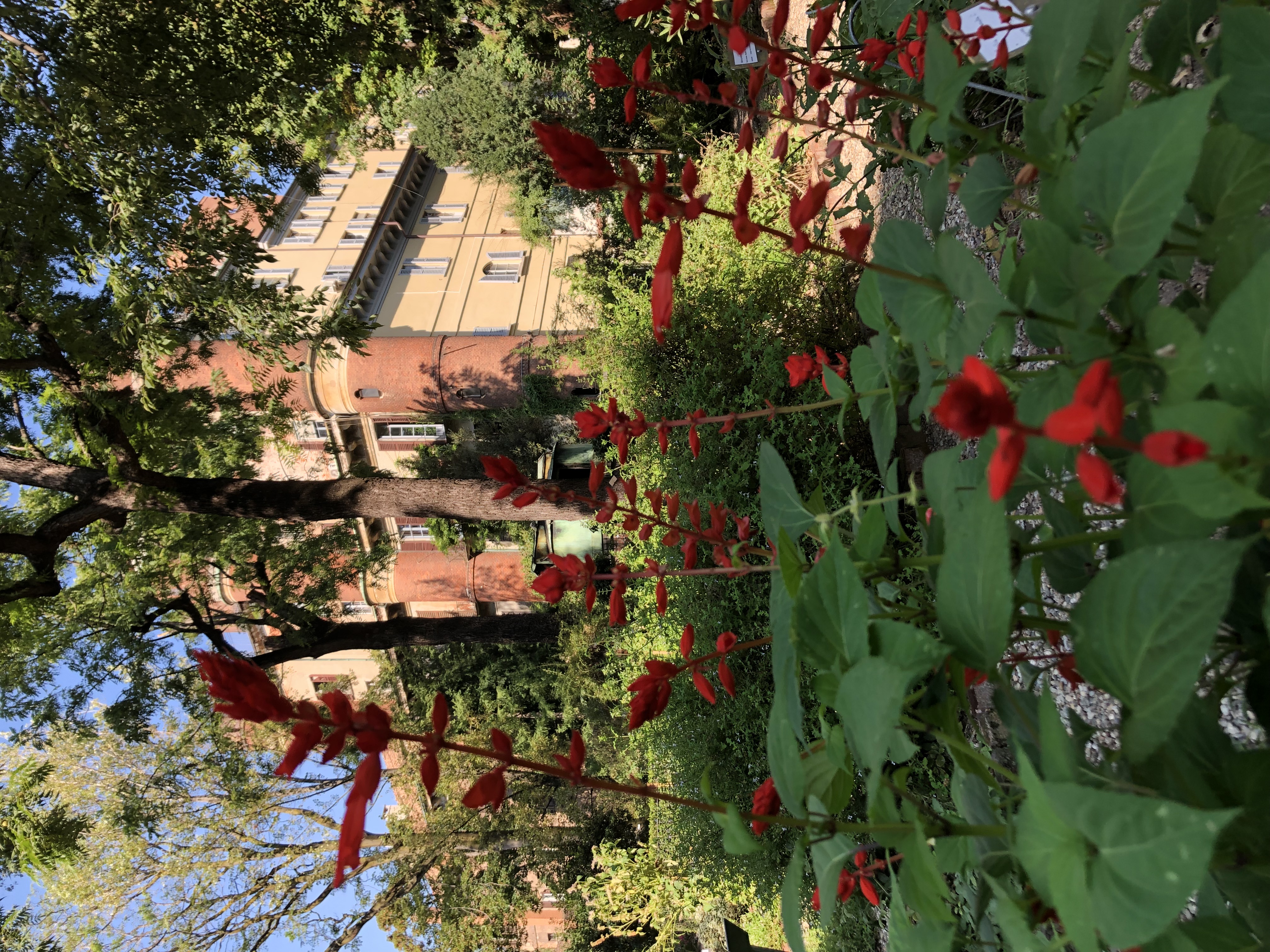 L’Orto Botanico di Brera si racconta dopo gli episodi estivi di estremo maltempo